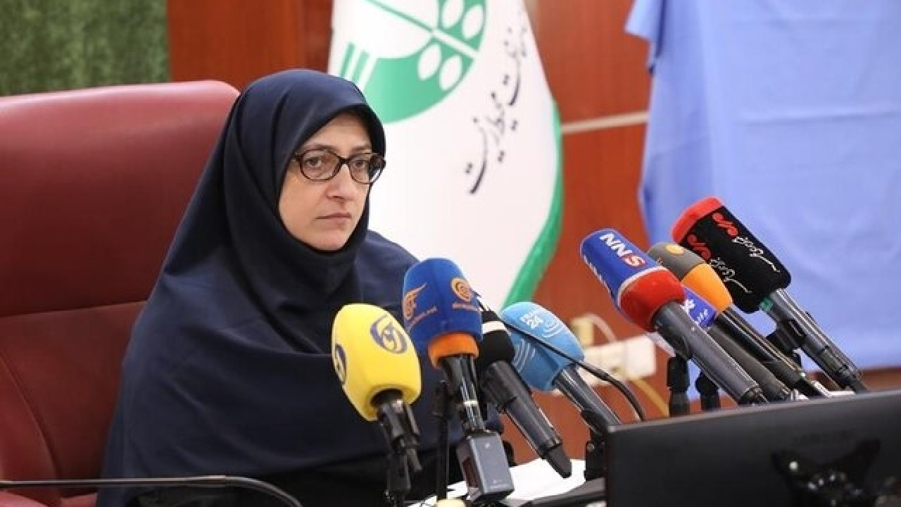 برخی دستگاهها در تلاش برای حذف نقش سازمان محیط زیست در امور هستند