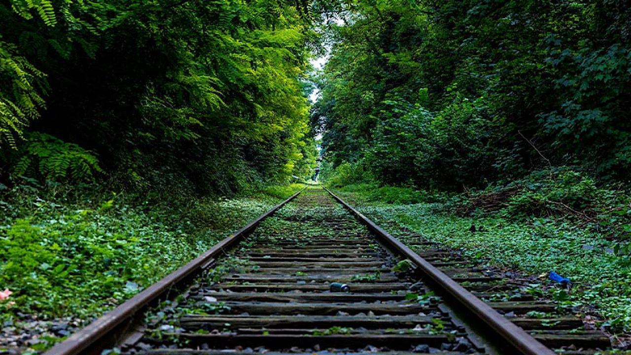 تاریخ پیش فروش بلیط قطار نوروز ۱۴۰۵ اعلام شد