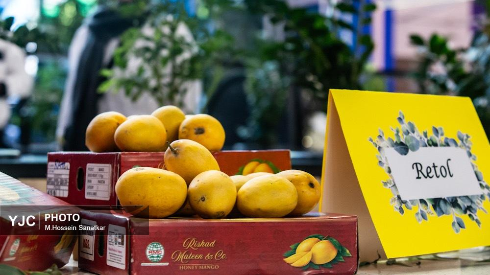 جشنواره انبه پاکستان؛ پلی برای توسعه روابط فرهنگی و تجاری در تهران