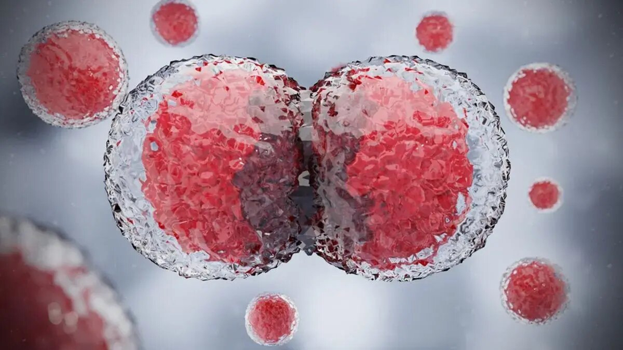 سلول‌ها از کجا می‌دانند که مربوط به کدام عضو بدن هستند؟