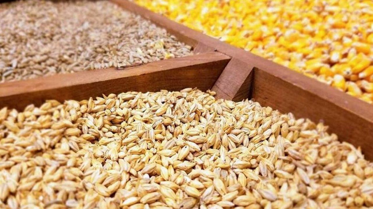 سالانه ۲ میلیون و ۵۰۰ هزارتن نیاز به واردات جو داریم
