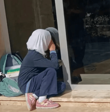 کاربران فضای مجازی: علیاف در مسیر رضاخان
