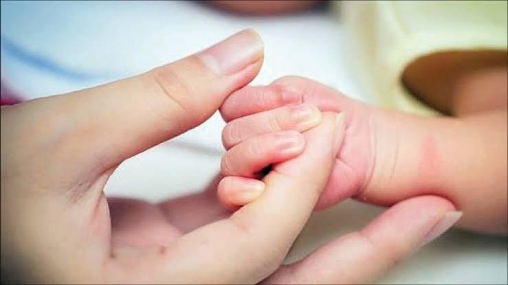 بیش از ۲۴ میلیون نفر از زنان ایرانی مادری را تجربه کردهاند