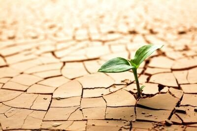 هنوز در تهران، کرج، مشهد، اراک و ساوه نیاز به مدیریت مصرف داریم