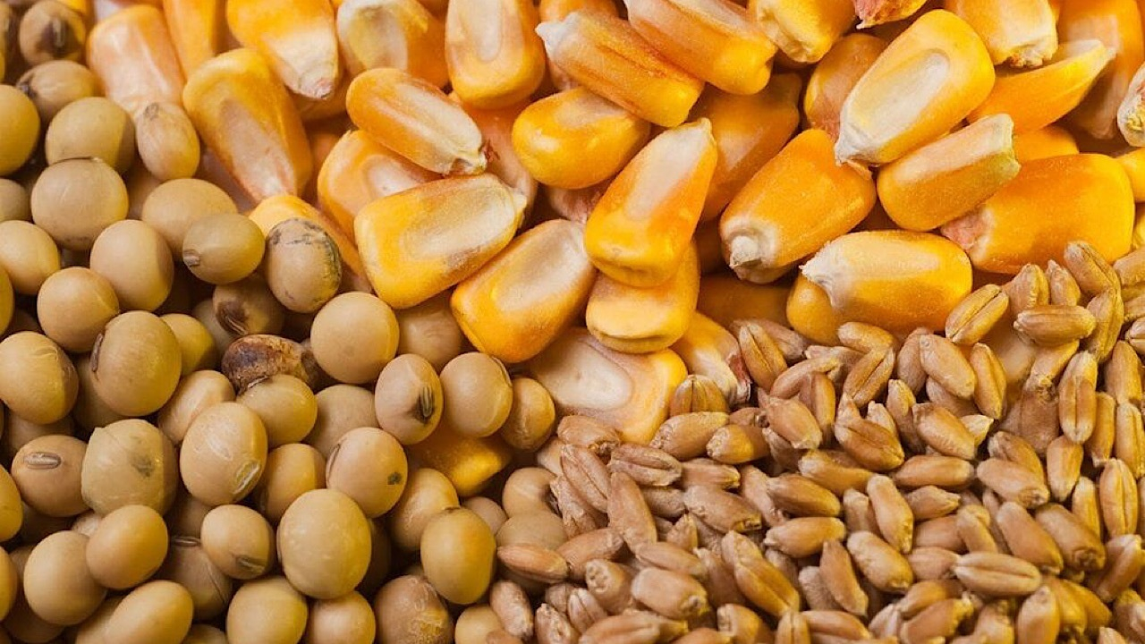 علت نوسانات اخیر بازار گوشت چیست؟