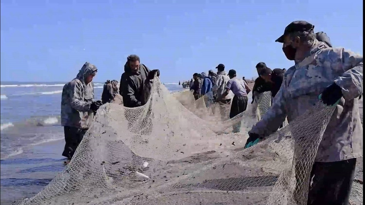 مستند «آنجا که تور‌ها رها شدند»، نگاهی به یک آسیب زیست محیطی در دریای کاسپین