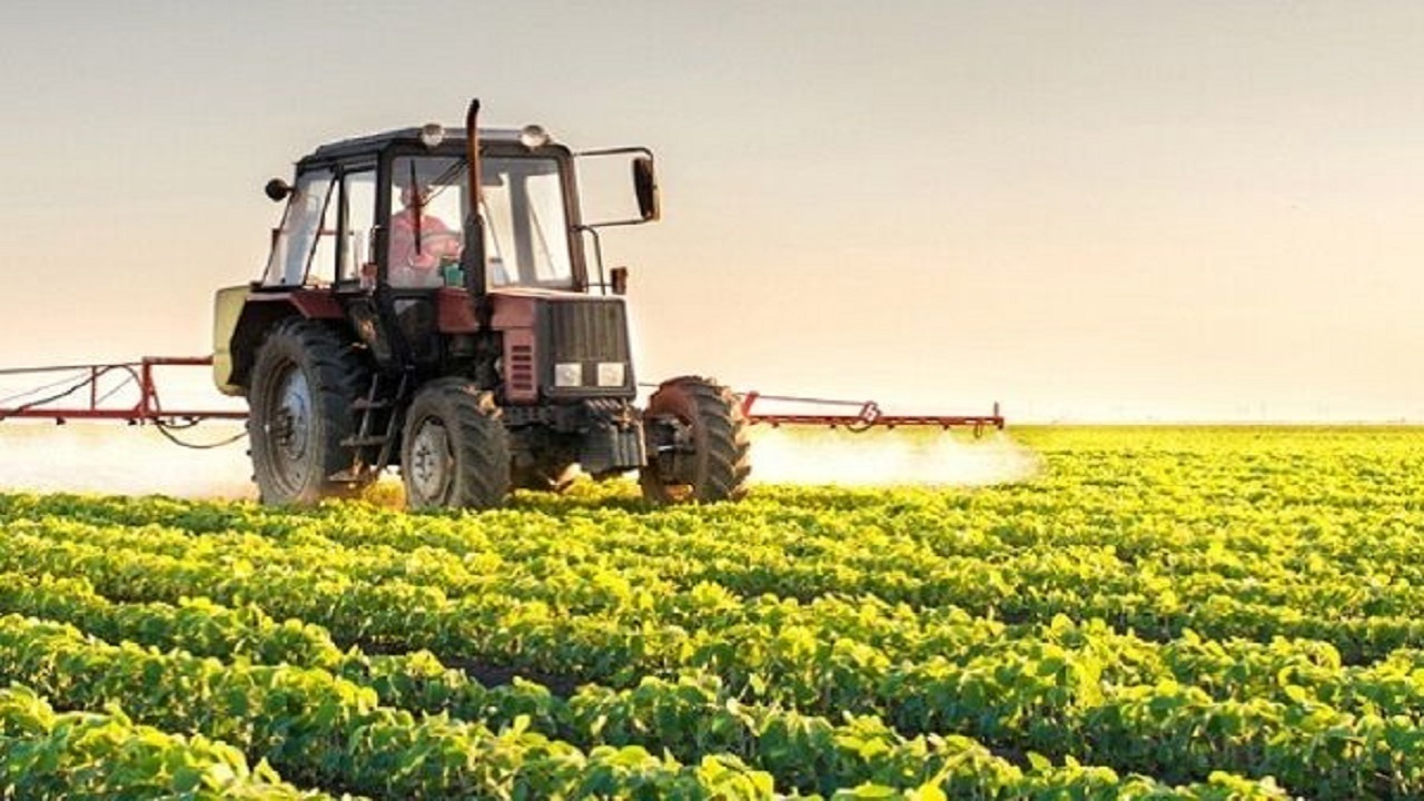 اصلاح الگوی کشت راه حلی برای ارتقای بهره وری آب و امنیت غذایی