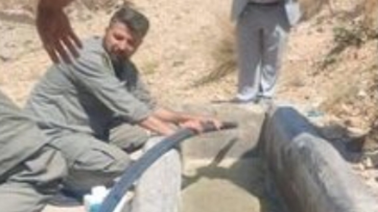 توزیع ۱۶۰ گالن ضدعفونیکننده برای پیشگیری از بیماری در حیات وحش تهران