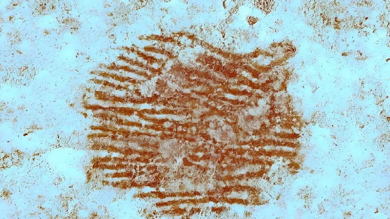 اثر انگشت ۴۳ هزار ساله!