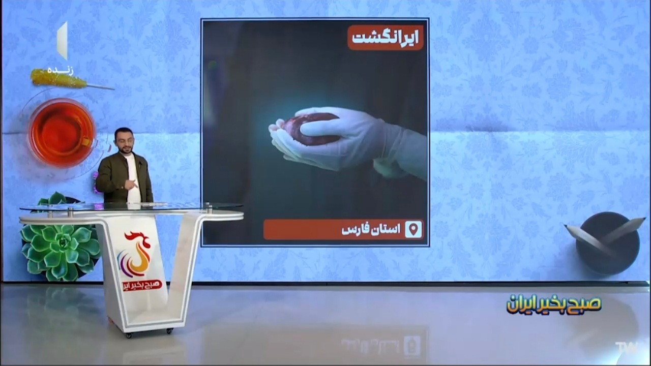 نخستین عمل پیوند کبد در شهر تاریخی بخارا + فیلم