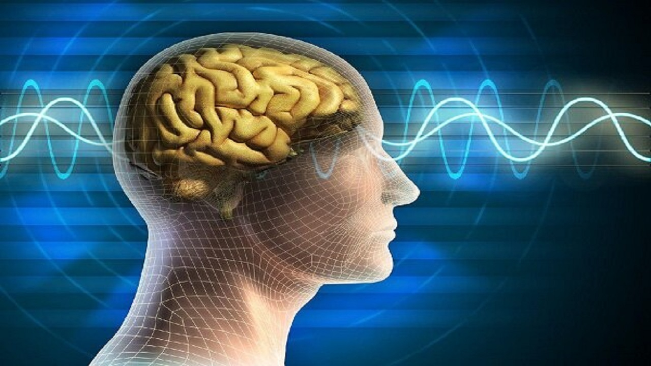 نرم افزار جدید شبیه سازی مغز را ارتقا میدهد