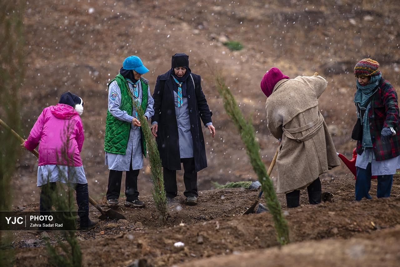کاشت بیش از سی و سه هزار نهال در بوستان سرخه‌حصار