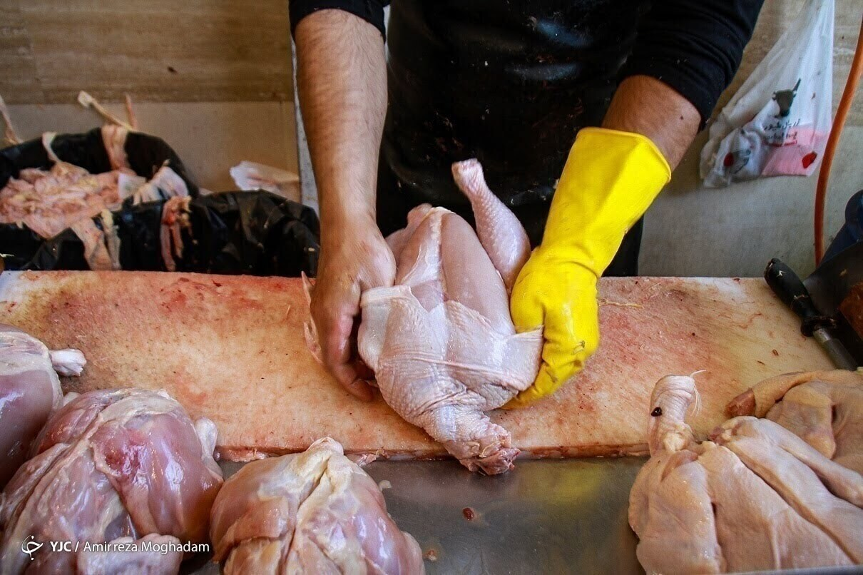 قیمت مرغ با کاهش گرمای هوا متعادل می‌شود