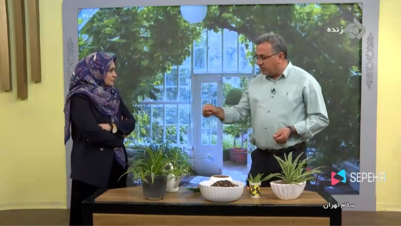 آموزش شستشوی خاک گیاه عنکبوتی + فیلم