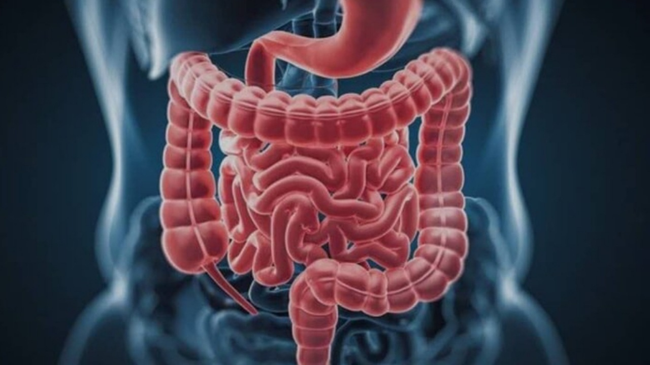 شیوع مشکلات گوارشی در دوران یائسگی