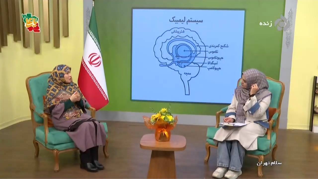 خشم قسمت حیوانی مغز انسان است + فیلم