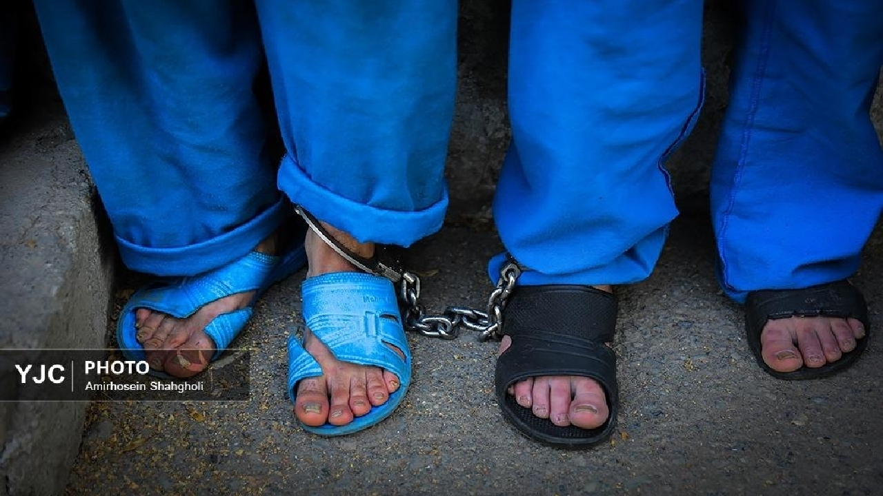 دستگیری ۵۱ نفر به اتهام قاچاق و احتکار نهاده دامی