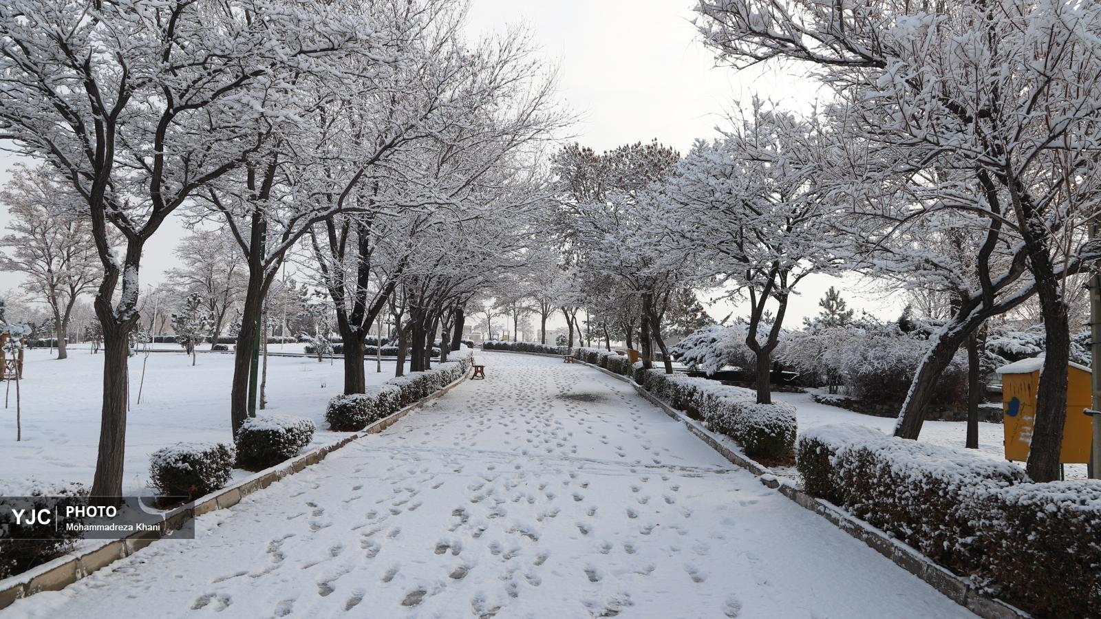 بارش برف در زنجان