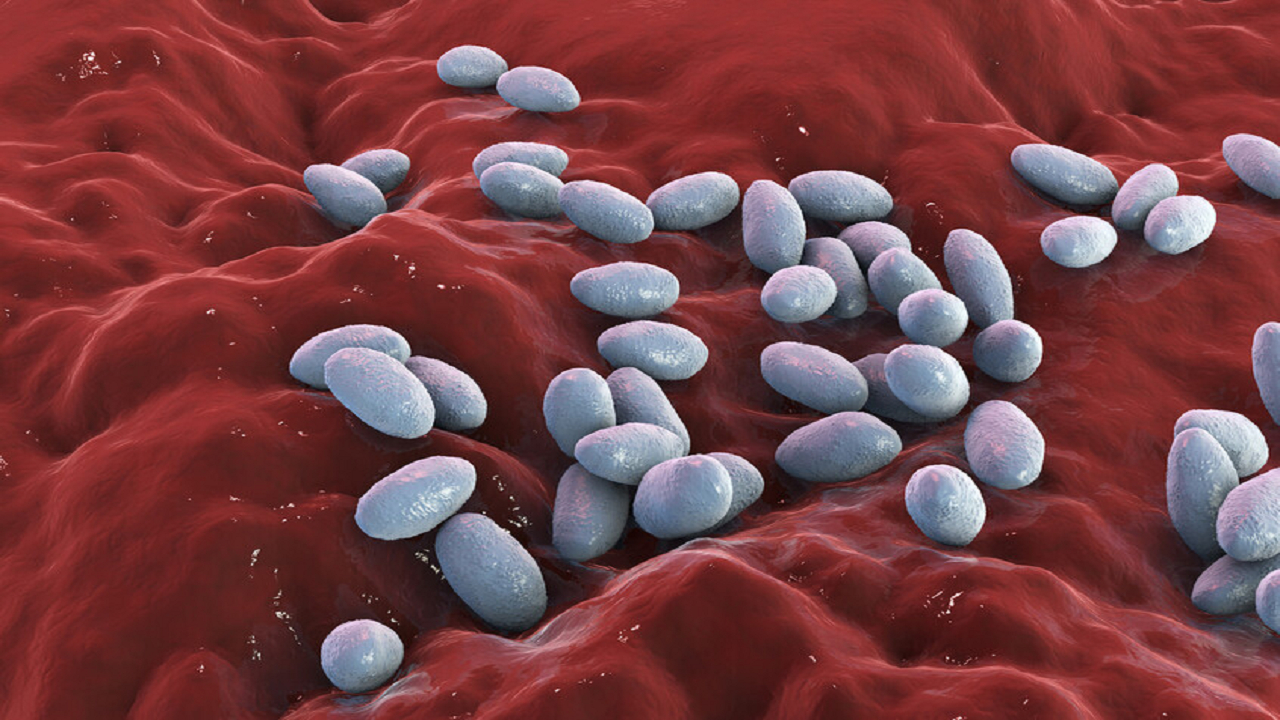 کشف سازوکاری جدید در آنتی بیوتیک‌ها برای مقاومت باکتری‌ها