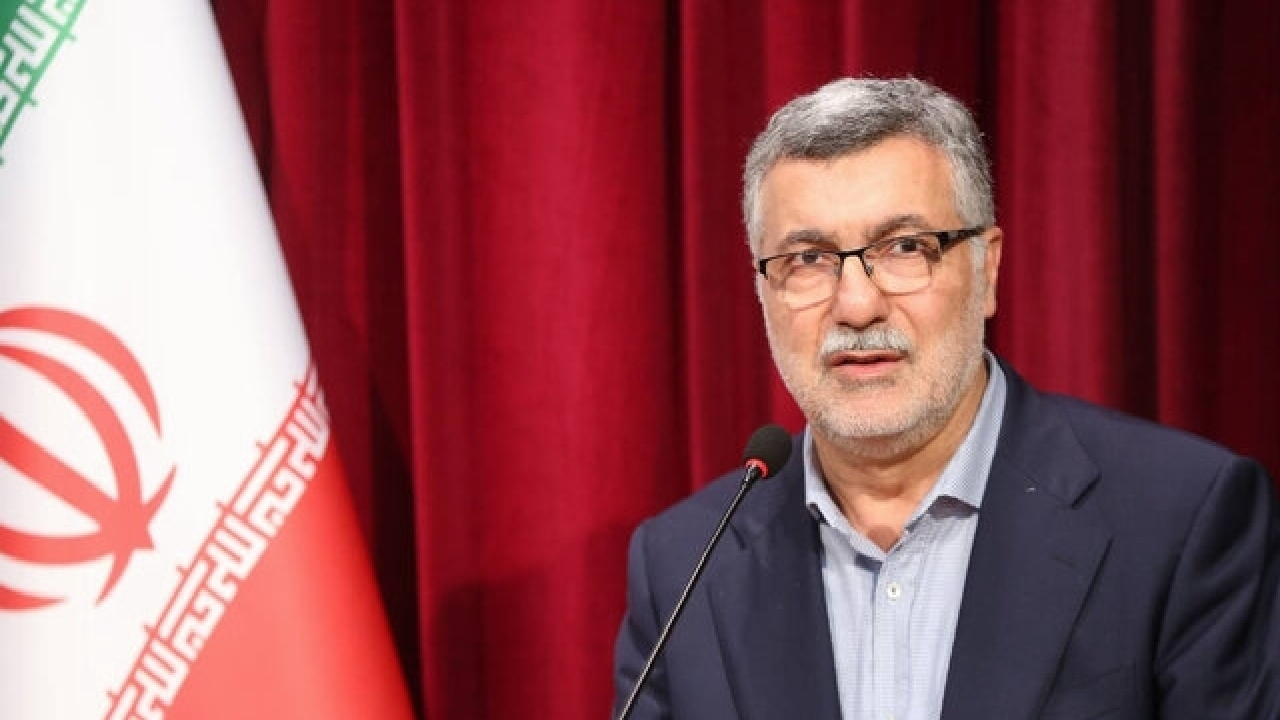 وزیر بهداشت: پرستاران ستون اصلی خدمات سلامت در بحران هستند
