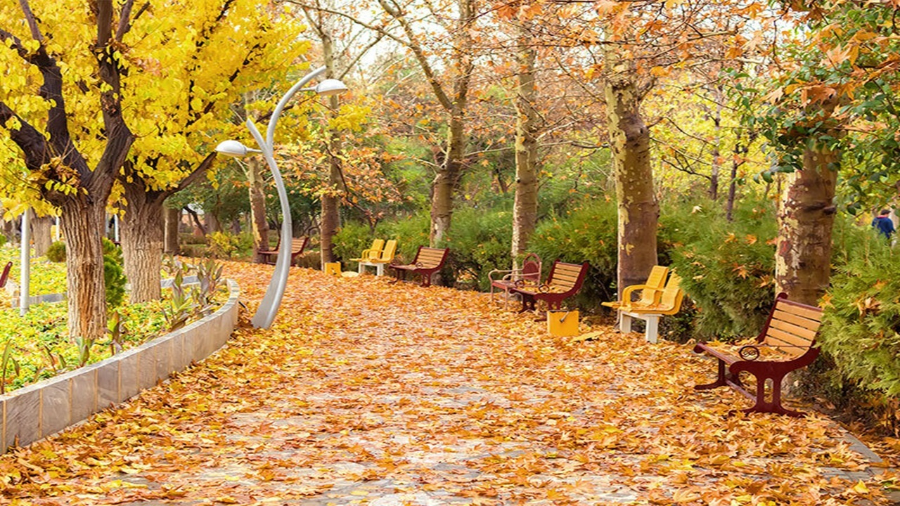 پاییزگردی در پایتخت؛ ۵ مقصد متفاوت برای یک روز تهران‌گردی