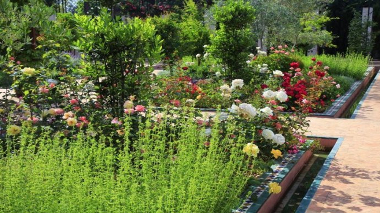 ۵ گیاهی که باغبان‌های حرفه‌ای در بهمن‌ماه زودتر از همه می‌خرند