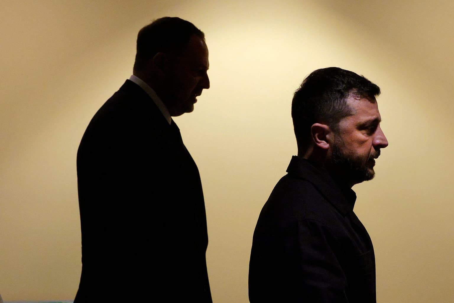 سقوط مرد سایه‌ها