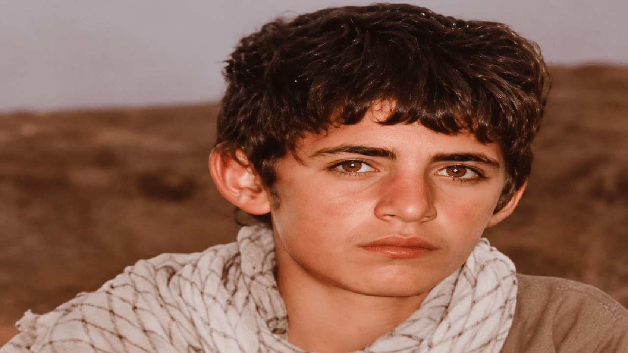 شیر ۱۳ساله‌ای که پیکرش ۹ سال بعد برگشت
