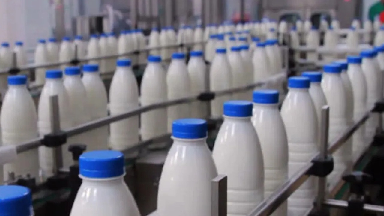 عرضه لبنیات با کالابرگ ۱۰ درصد کمتر از قیمت مصوب