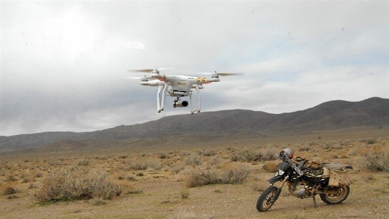 اجرای طرح سراسری سرشماری از گونههای شاخص حیات وحش آغاز شد