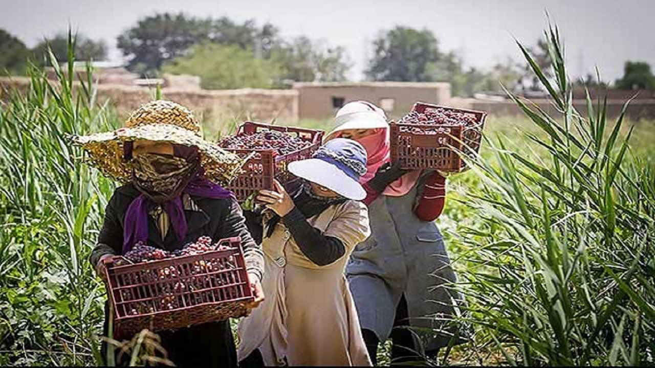 بیمه ۱۰ هزار زن سرپرست خانوار روستایی