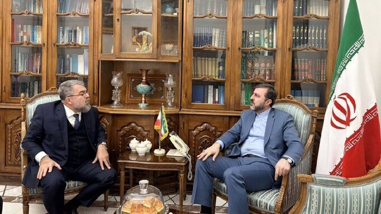 غریب آبادی: روابط ایران و برزیل ظرفیت گسترش قابل توجهی دارد