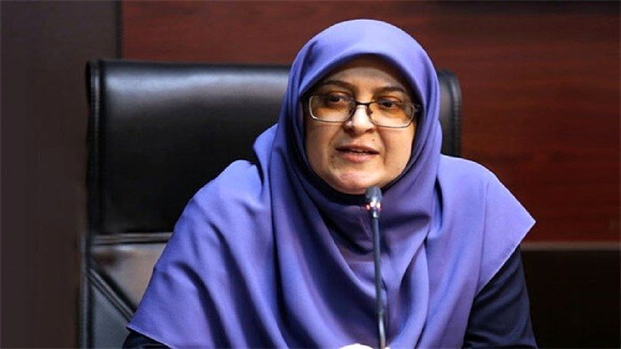 سخنگوی دولت: دولت به دنبال کنترل قیمتهاست