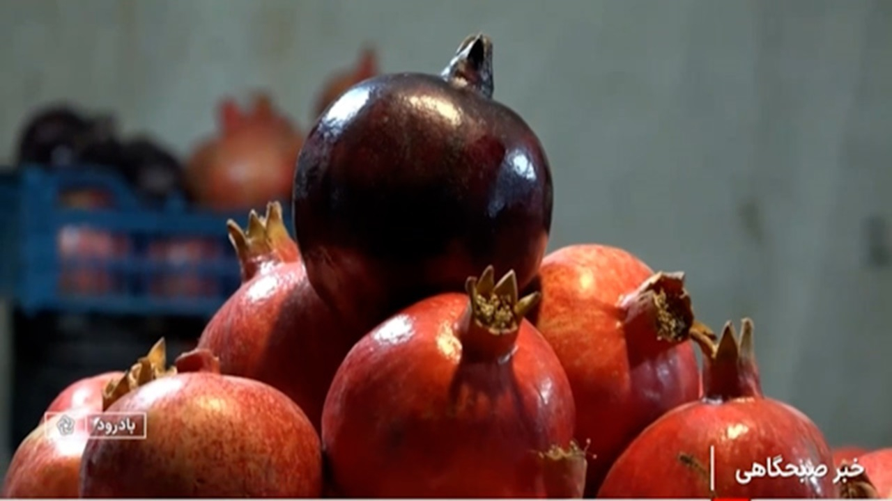 آغاز هفدهمین جشنواره انار بادرود + فیلم