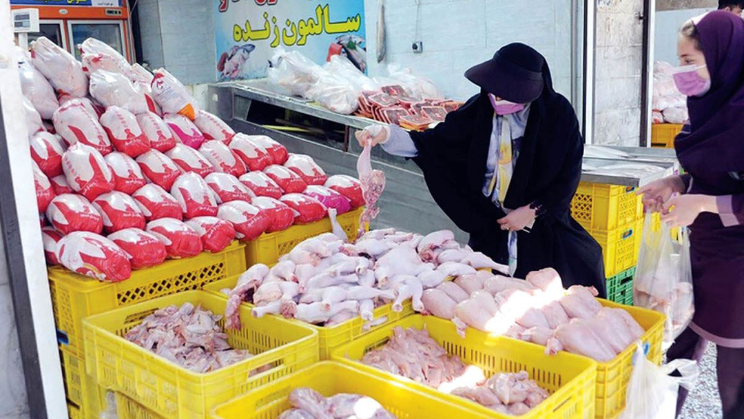 پارادوکس بازار مرغ