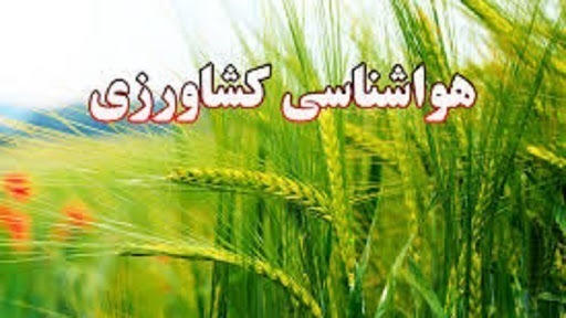 کشاورزان تنظیم و مدیریت آبیاری باغات را در دستور کار قرار دهند