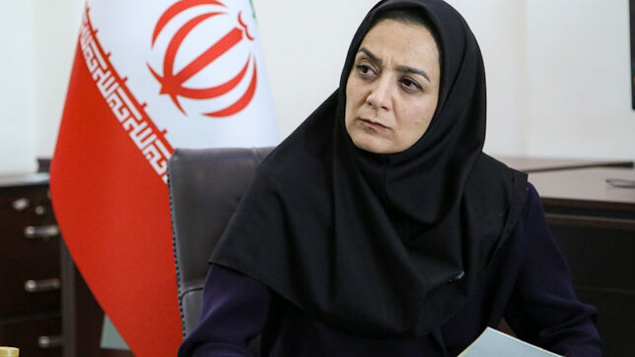 حل مسئله فرونشست نیازمند تعیین متولی در سطح ملی است