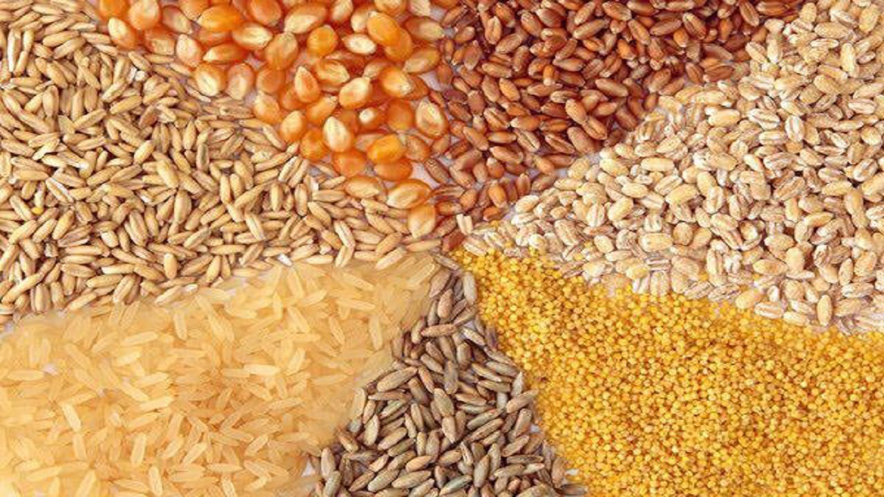 سالانه ۶ میلیون تن جو در کشور مصرف میشود