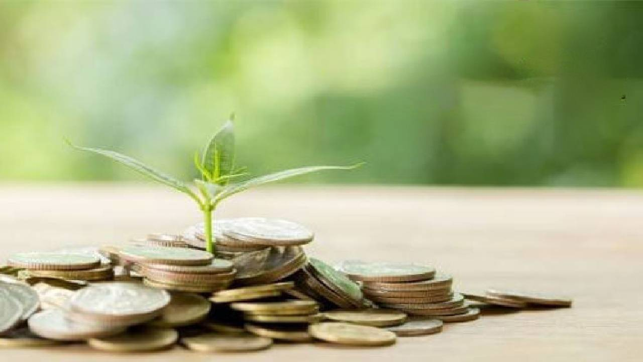 چگونه از راه حلال ثروتمند شویم؟