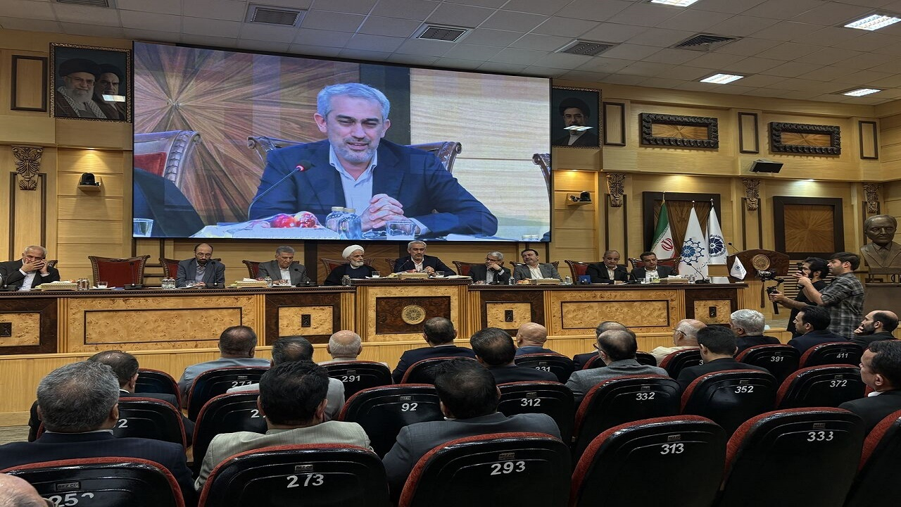 مدنی زاده: تعدد قوانین فعالان اقتصادی را سردرگم میکند