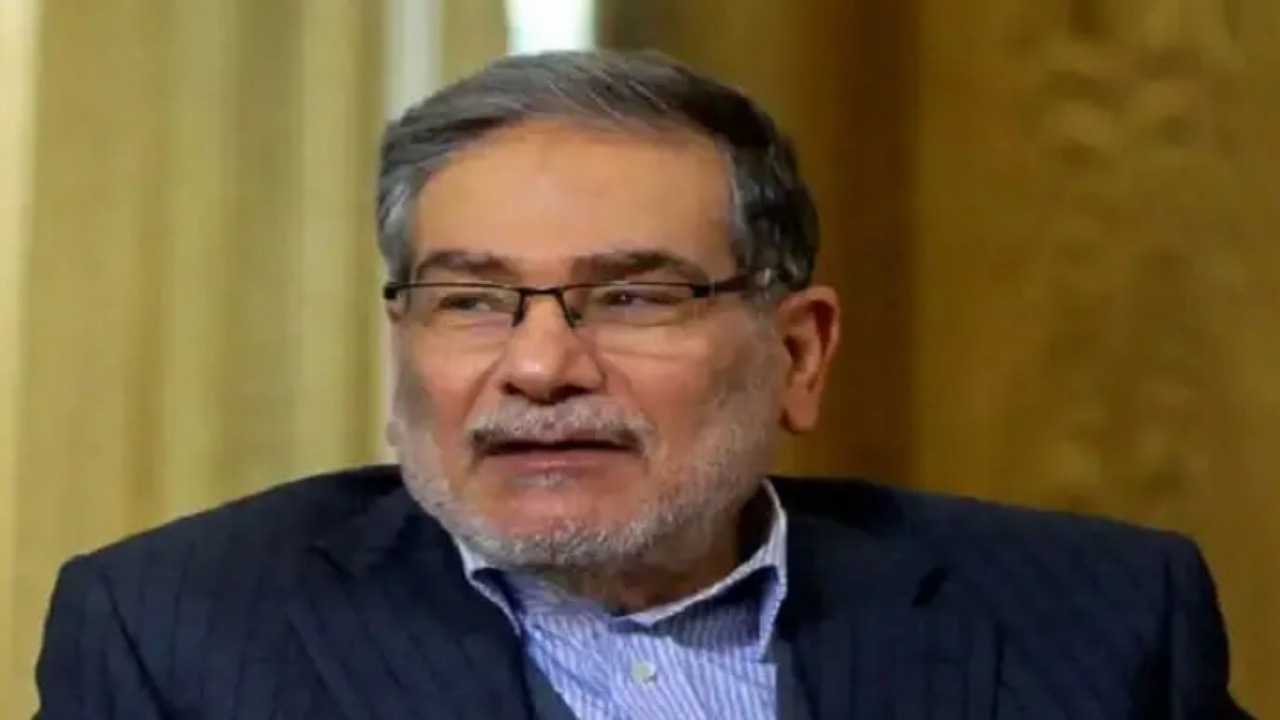 شمخانی: دست مداخلهگر پیش از رسیدن قطع خواهد شد