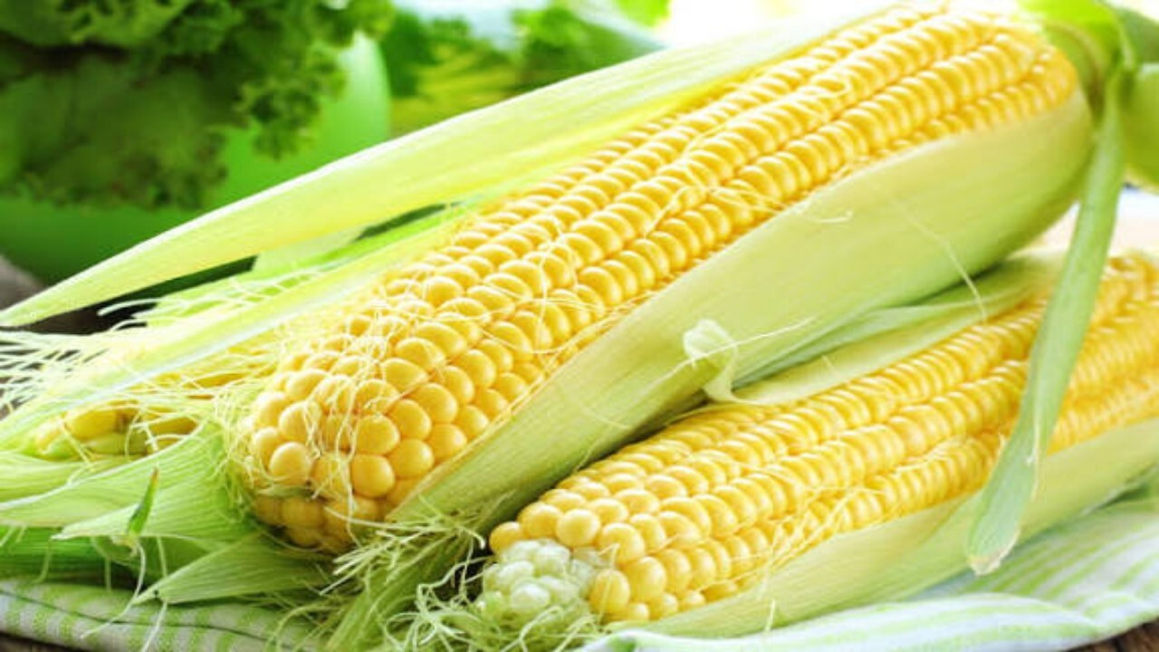 توسعه همکاری‌های تجاری طالبان و قزاقستان با تمرکز بر صادرات محصولات کشاورزی