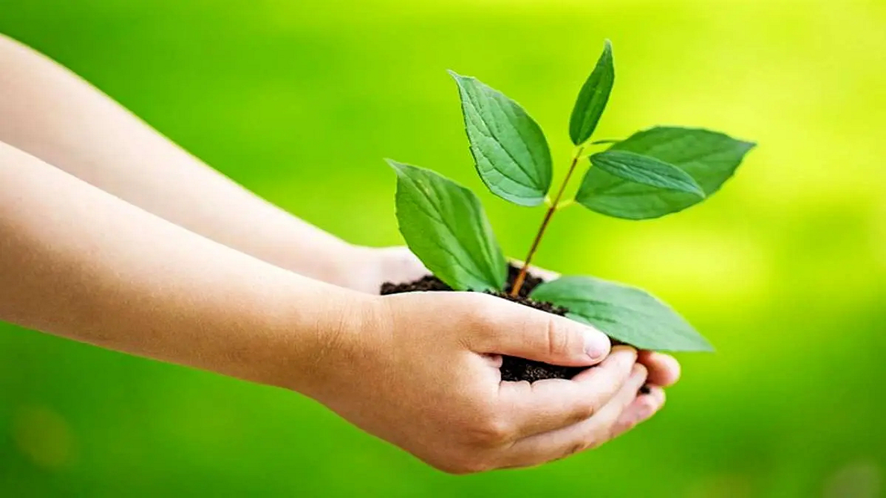 ۷ راه طلایی برای یافتن معنای زندگی