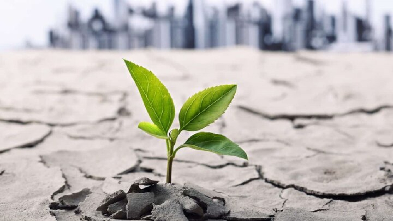 سلامت معنوی حلقه گمشده میان جسم و روان انسان