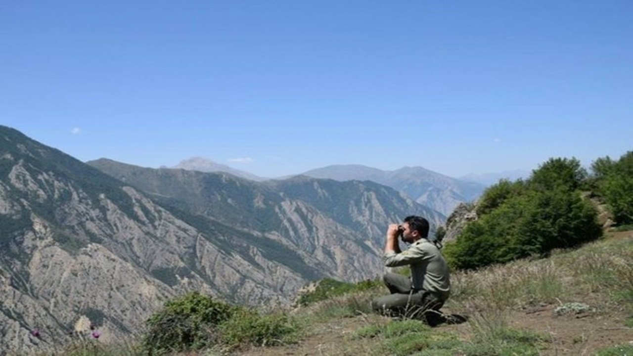 سختی و شیرینیهای کار محیطبانی؛ قلبهایی که برای مرال میتپد