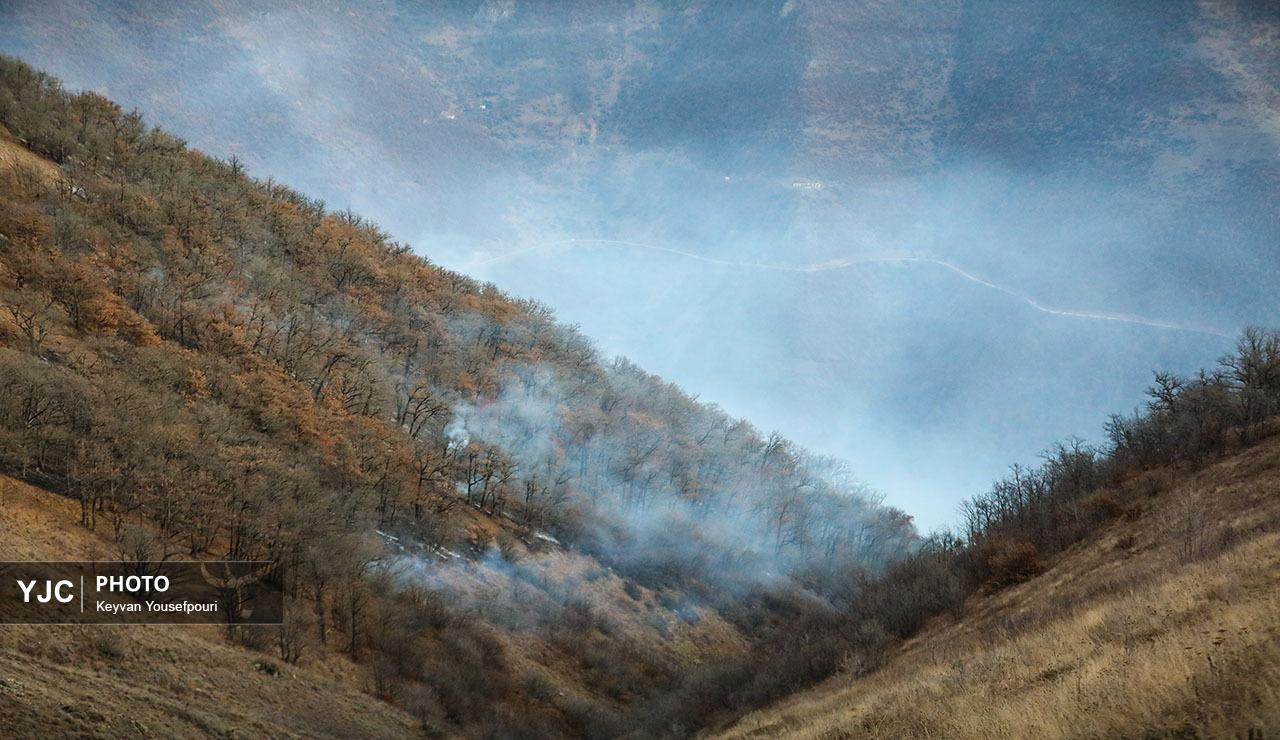 آتش سوزی جنگلهای هیرکانی الیت
