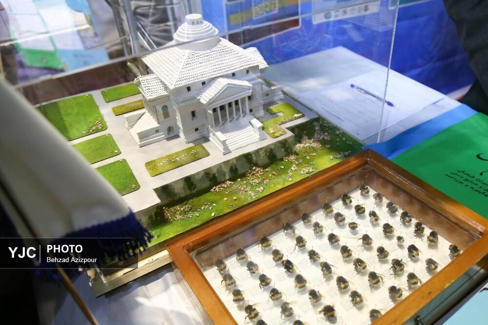 حضور وزیر علوم در جشنواره ملی حرکت در تبریز