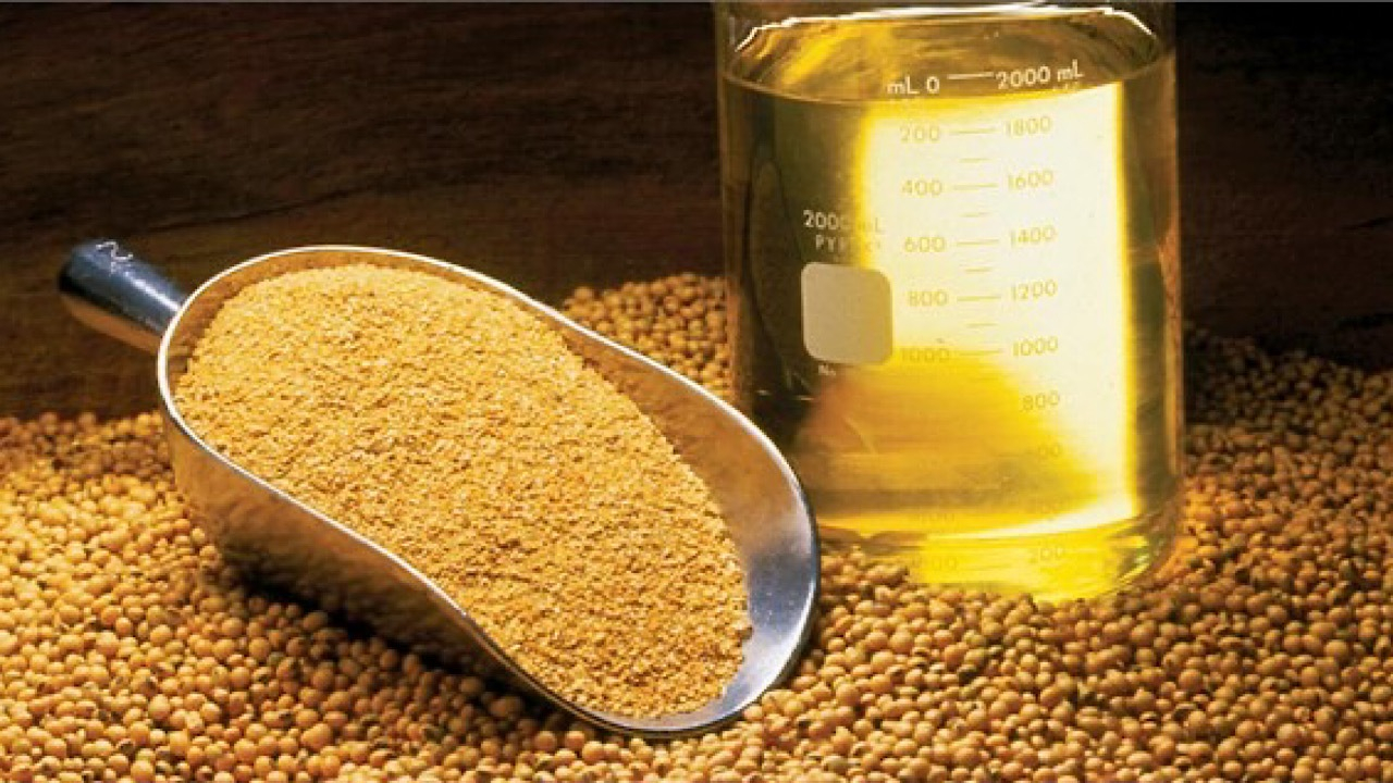 ترخیص روغنهای وارداتی از گمرک منوط به خرید دانههای روغنی داخلی شد