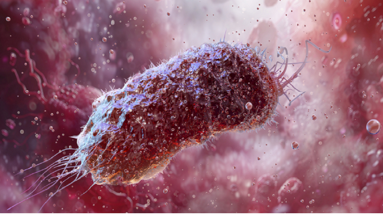 یک پیشرفت پزشکی: تعیین شاخص اولیه بیماری التهابی روده (IBD)