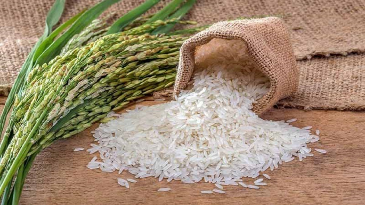 تولید برنج به ۲.۲ میلیون تن می رسد